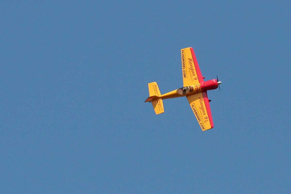 IMG 1616